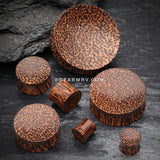 A Pair of Concave Coconut Wood Double Flared Plug
