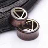 A Pair of Karma Triangle Geometric Brass Rosewood Double Flared Tunnel Plug