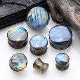 A Pair Of High Grade Labradorite Concave Stone Double Flared Plug