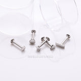 Detail View 1 of 5 Pcs of Assorted Style Steel Minimalistic Internally Threaded Labret Flat Back Stud Package