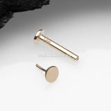 14 Karat Gold OneFit™ Threadless Flat Round Top Flat Back Stud Labret
