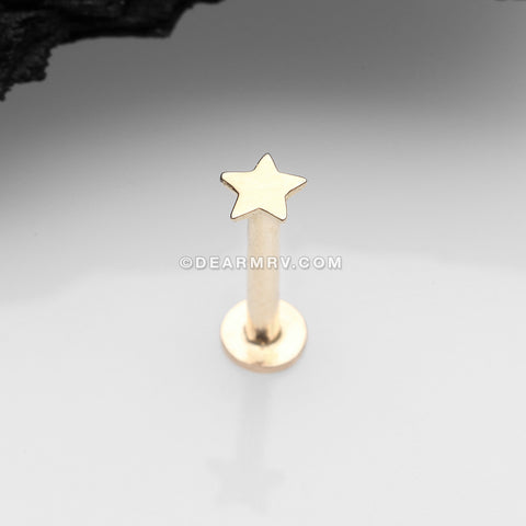 14 Karat Gold OneFit™ Threadless Flat Star Top Flat Back Stud Labret
