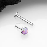 14 Karat White Gold OneFit™ Threadless Prong Set Fire Opal Top Flat Back Stud Labret-Purple Opal