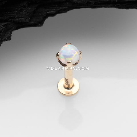 Detail View 1 of 14 Karat Gold OneFit™ Threadless Prong Set Fire Opal Top Flat Back Stud Labret-White Opal