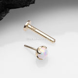 Detail View 2 of 14 Karat Gold OneFit™ Threadless Prong Set Fire Opal Top Flat Back Stud Labret-White Opal