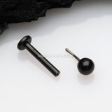 Blackline Basic Ball Top Threadless Push-In Steel Labret