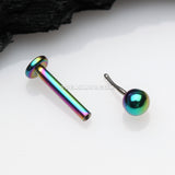 Colorline Basic Ball Top Threadless Push-In Steel Labret