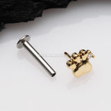Golden Adorable Sparkle Paw Top Threadless Push-In Steel Labret-Clear