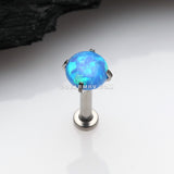 Implant Grade Titanium OneFit™ Threadless Fire Opal Prong Set Top Flat Back Stud Labret-Blue Opal