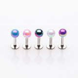 5 Pcs Pack of Assorted Color Iridescent Metallic Coated Steel Labrets