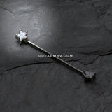 Star Sparkle Industrial Barbell-Clear