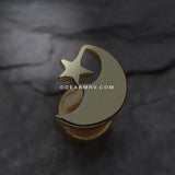 A Pair of Golden Crescent Moon & Star Fake Plug Earring-Gold