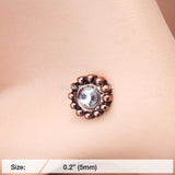 Rose Gold Aira Filigree Sparkle Icon Nose Stud Ring-Clear
