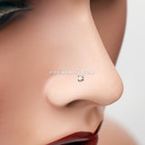 Golden Prong Set Gem Top Nose Stud Ring-Clear