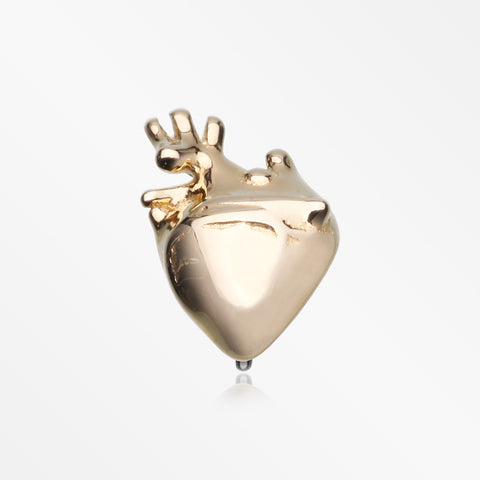 14 Karat Gold OneFit™ Threadless Anatomical Human Heart Top Part