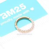 Pure24K Implant Grade Titanium Brilliant Sparkle Front Facing Gems Lined Seamless Clicker Hoop Ring-Clear Gem