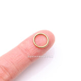 Pure24K Implant Grade Titanium Basic Seamless Hinged Clicker Hoop Ring