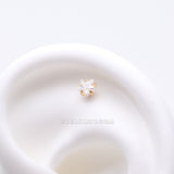 Pure24K Implant Grade Titanium OneFit™ Threadless Star Gem Sparkle Prong Top Part-Clear Gem