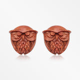 A Pair of Burrowing Owl Handcarved Earring Stud-Orange/Brown